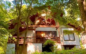 Yatsugatake Villa Forest&Dog - Vacation Stay 53545V